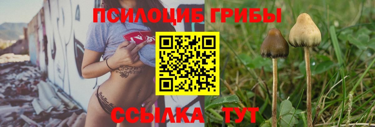 Псилоцибиновые грибы мицелий Майский